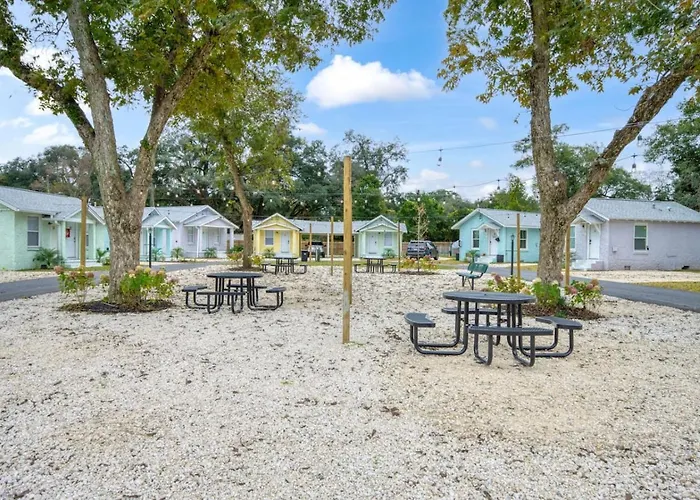 Cozy Convenient Near Offers